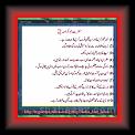 Abo Buker R A H 01 * 22.03.2008 * 424 x 379 * (41KB)